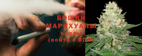 spice Лагань