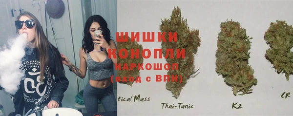 spice Лагань