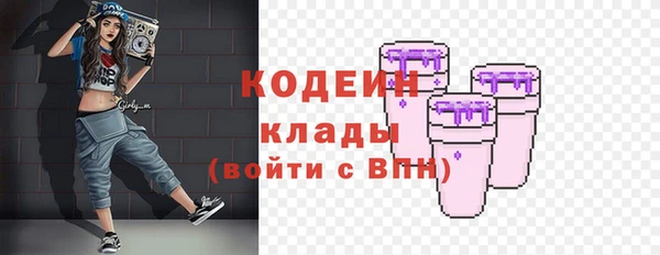 spice Лагань