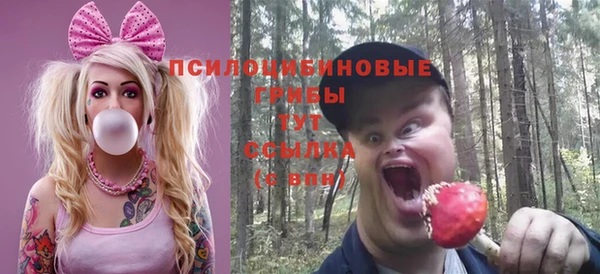 apvp Лихославль
