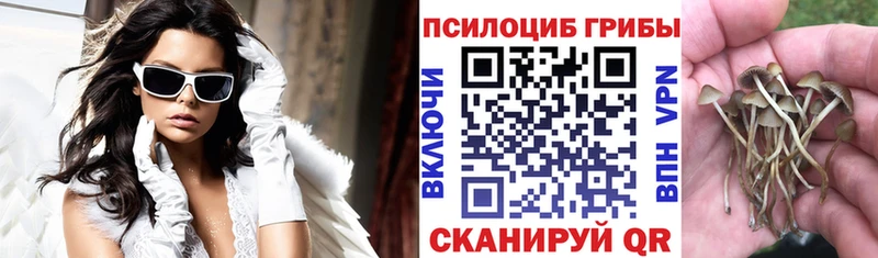 Псилоцибиновые грибы Cubensis  Купить закладки  Краснодар 